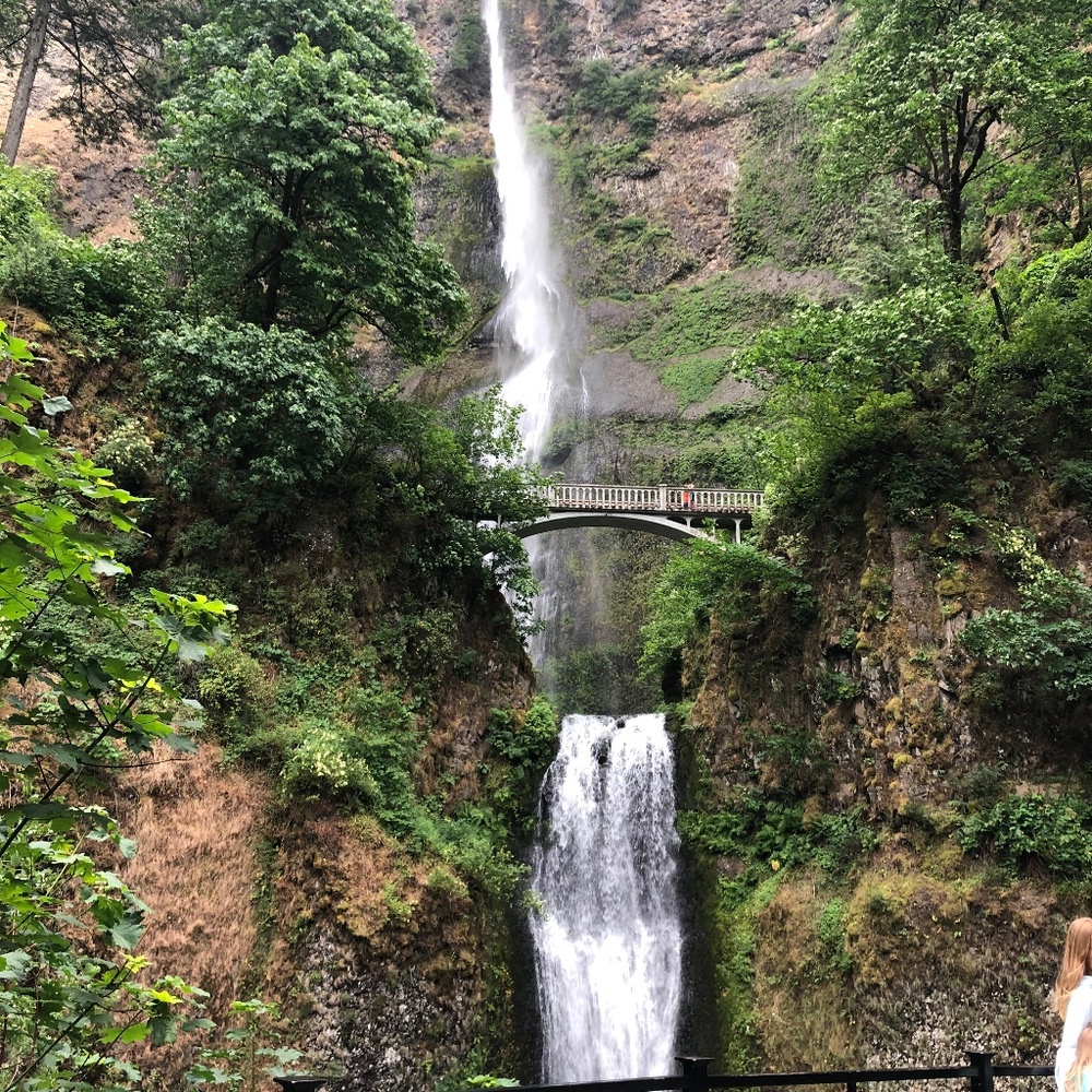 Meet your Posher, Va